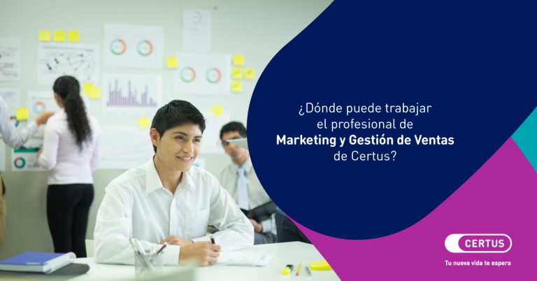 ¿Dónde trabaja el egresado de Marketing y Gestión de Ventas?