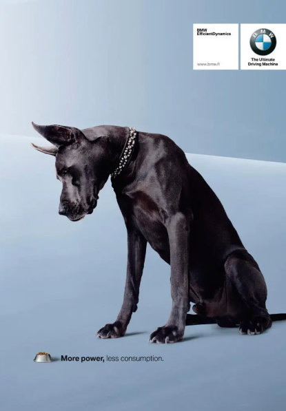 bwm-diseño-publicitario-certus