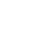 Administración de Negocios Internacionales