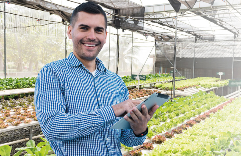 Agroexportación