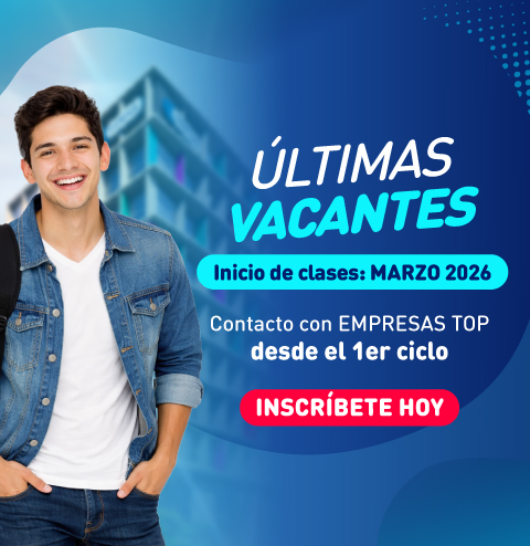 Mallas 100% Co-creadas