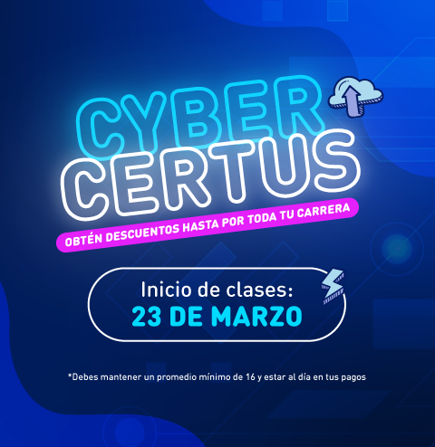 Mallas 100% Co-creadas