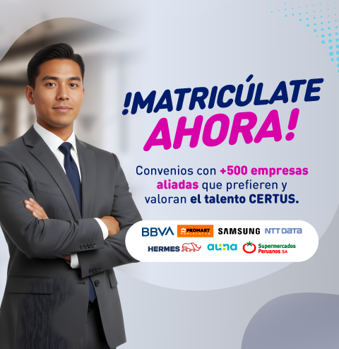 Mallas 100% Co-creadas