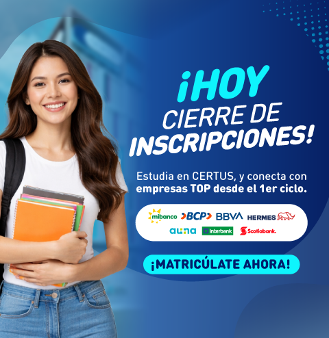 Mallas 100% Co-creadas