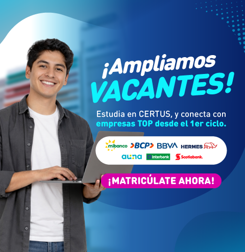 Mallas 100% Co-creadas