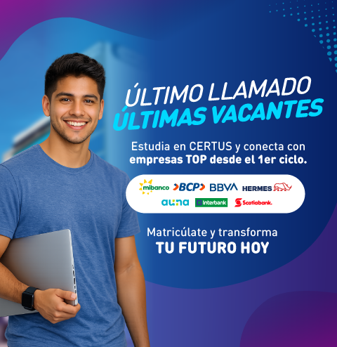 Mallas 100% Co-creadas