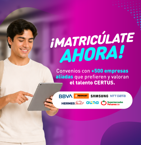 Mallas 100% Co-creadas