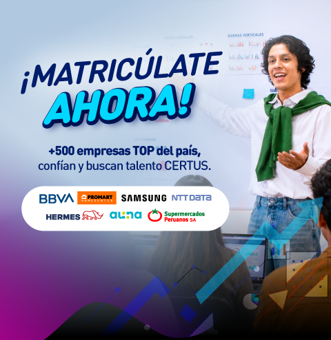 Mallas 100% Co-creadas