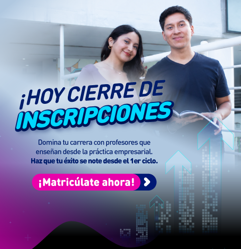 Mallas 100% Co-creadas