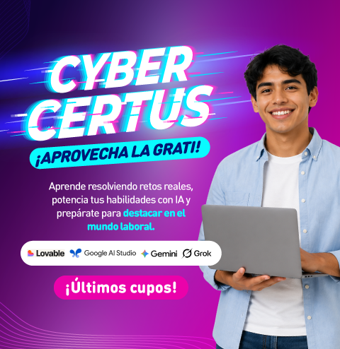 Mallas 100% Co-creadas