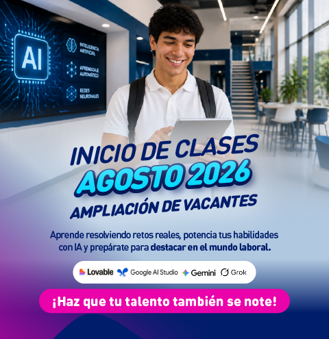 Mallas 100% Co-creadas