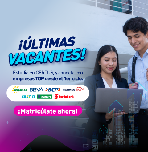 Mallas 100% Co-creadas
