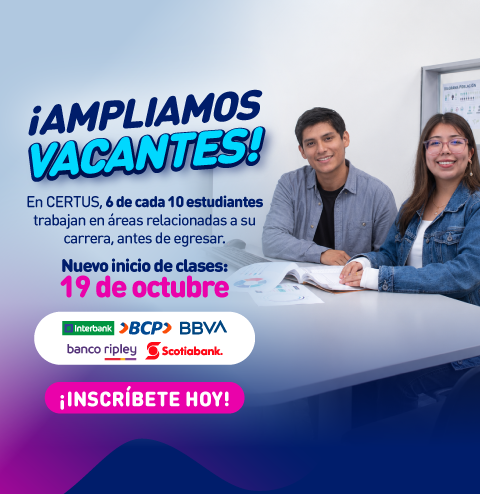 Mallas 100% Co-creadas