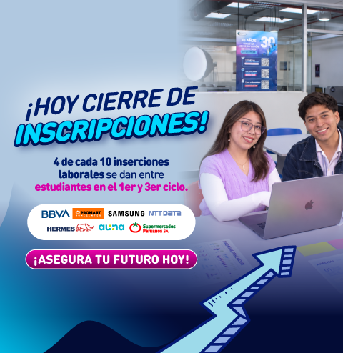 Mallas 100% Co-creadas